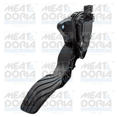 Accelerator Pedal Unit